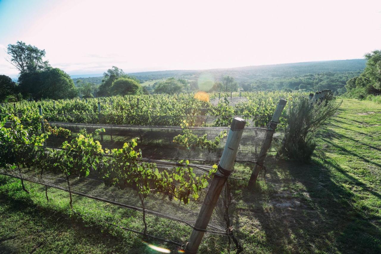 Cabana Sol Finca Pu Duam Villa General Belgrano Luaran gambar
